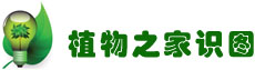植物之家识图